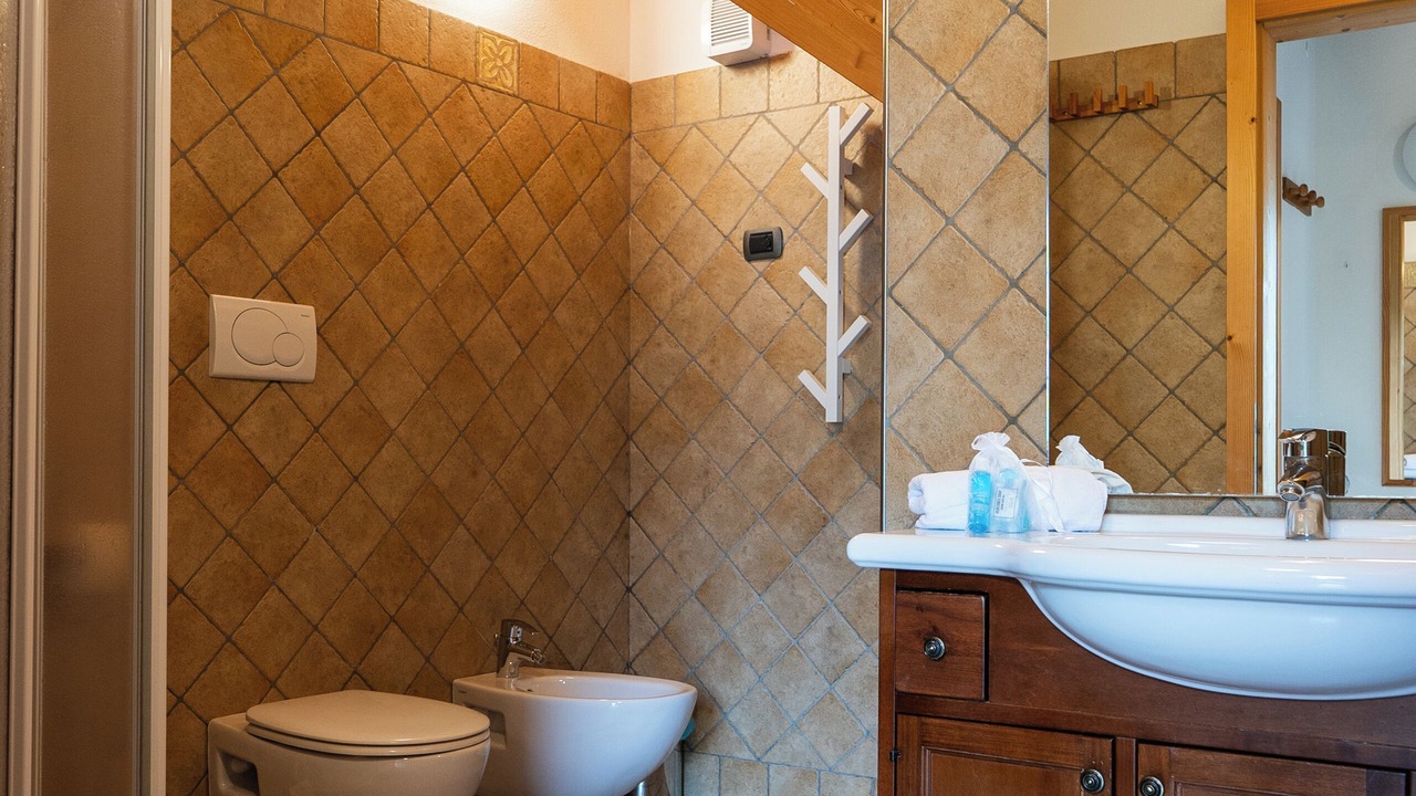 Photo of Bathroom in Drena