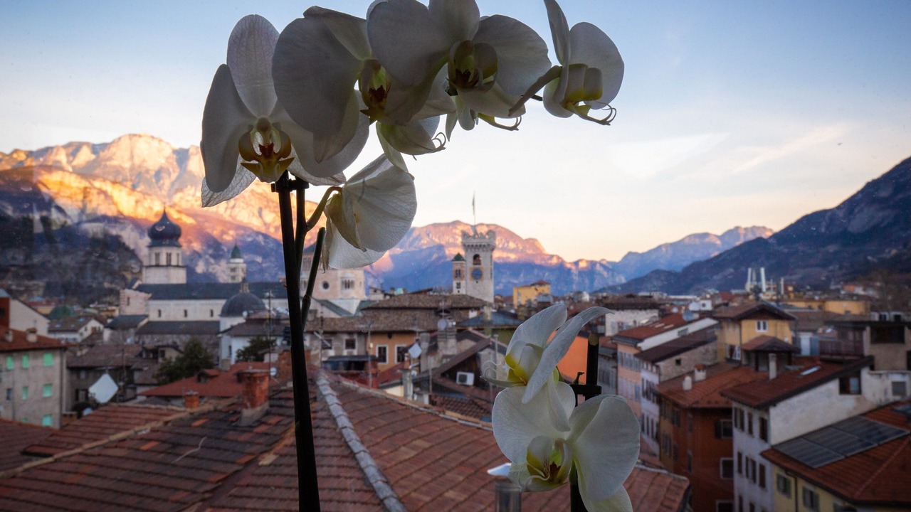 Photo of Patio Balcony in Trento