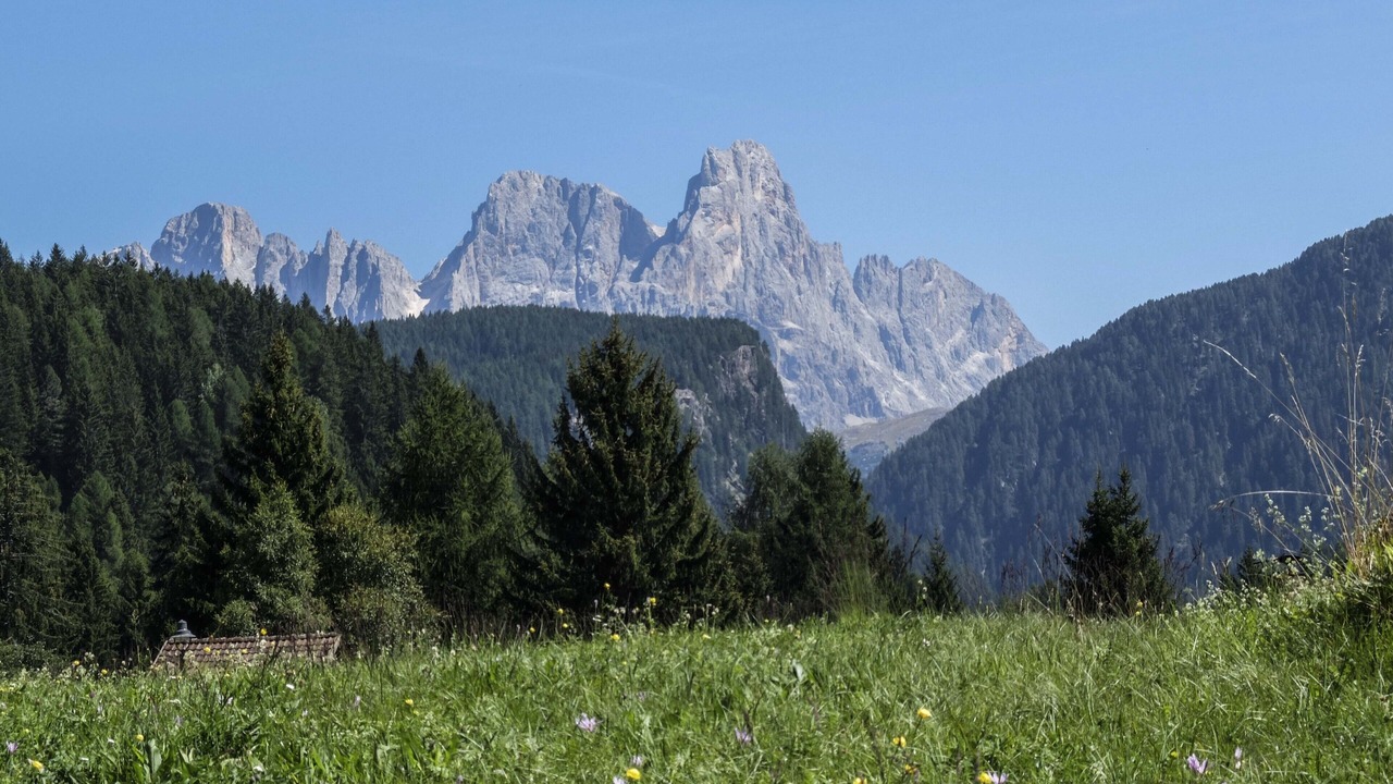 Photo of Outdoor in Bellamonte