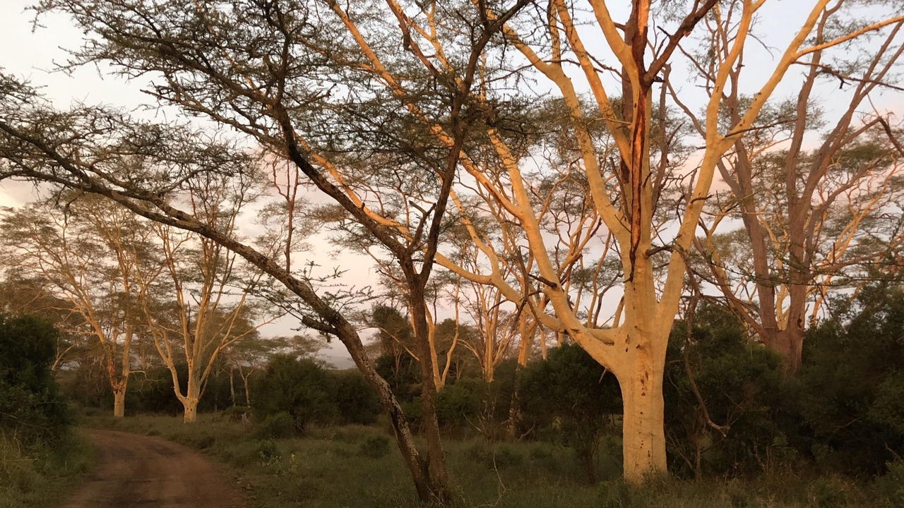 Photo of Outdoor in Jozini