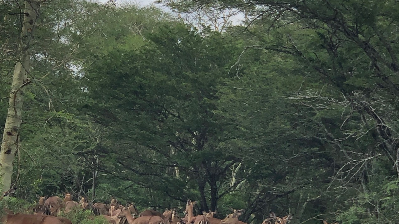 Photo of Others in Jozini
