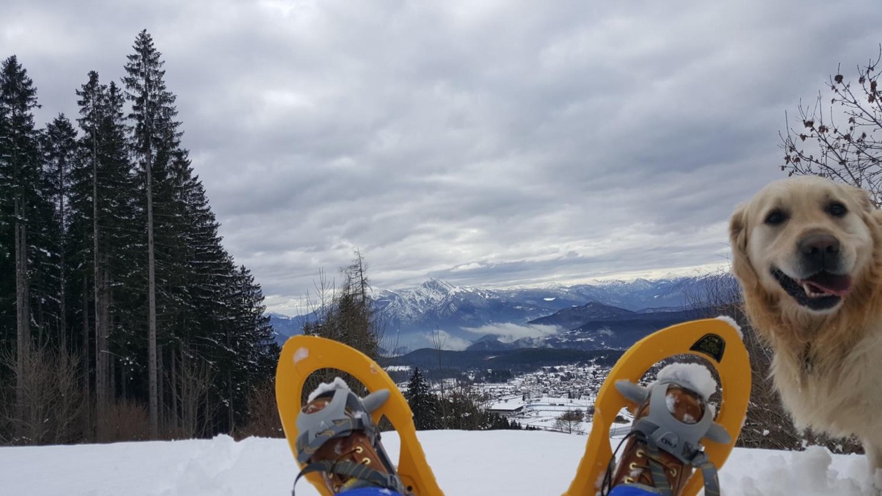 Photo of Others in Baselga di Pine