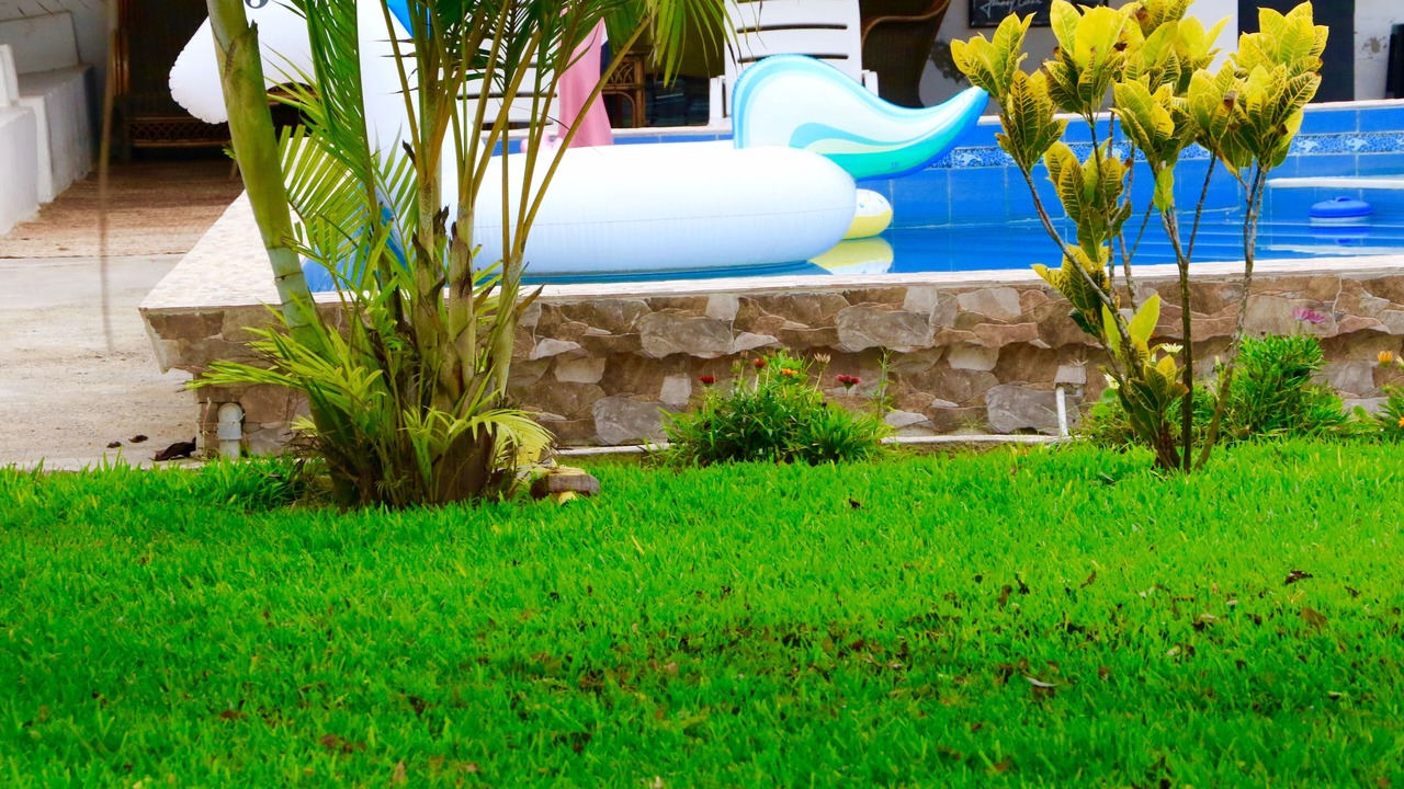 Photo of Outdoor in Cerro Azul