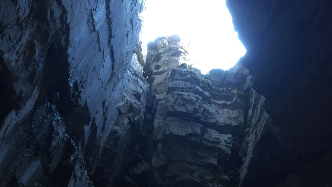 Photo of Others in Razem