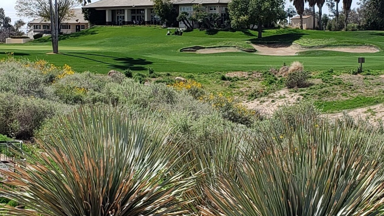 Photo of Outdoor in Superstition Lakes
