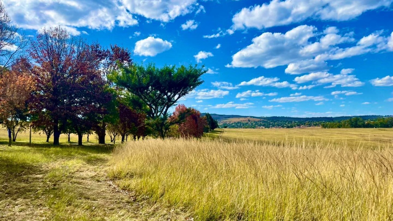 Photo of Outdoor in Newcastle