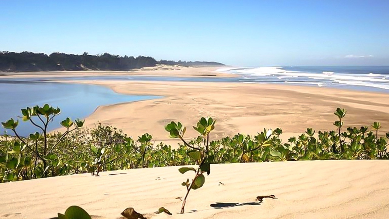 Photo of Outdoor in Mtunzini