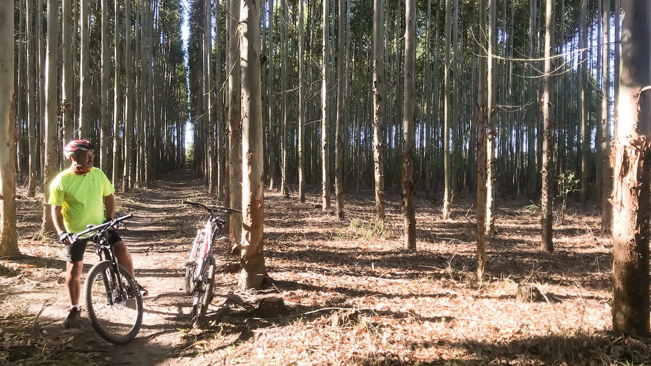 Photo of Outdoor in Mtunzini