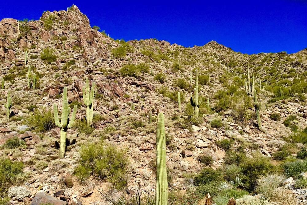 Photo of Outdoor in Central Scottsdale
