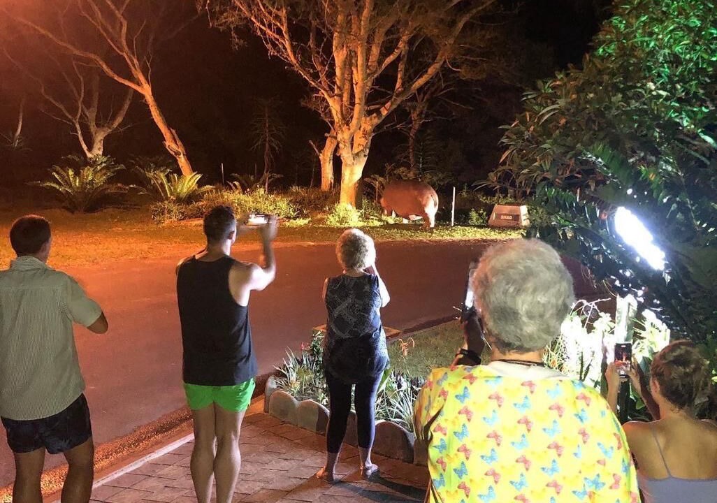 Photo of Others in St. Lucia