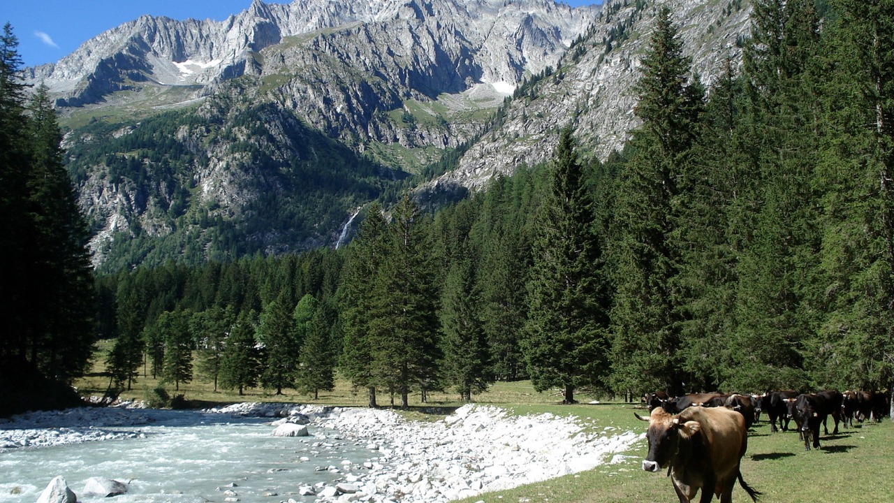 Photo of Outdoor in Caderzone Terme
