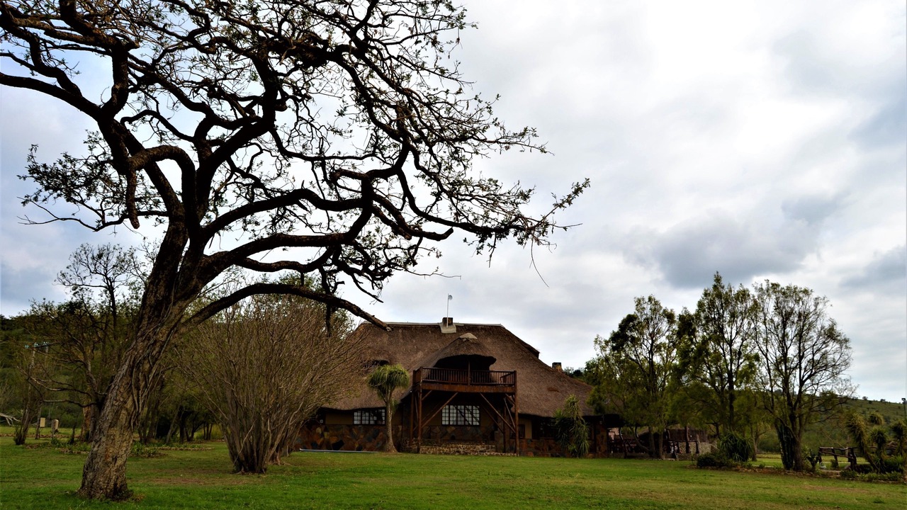 Photo of Outdoor in Colenso