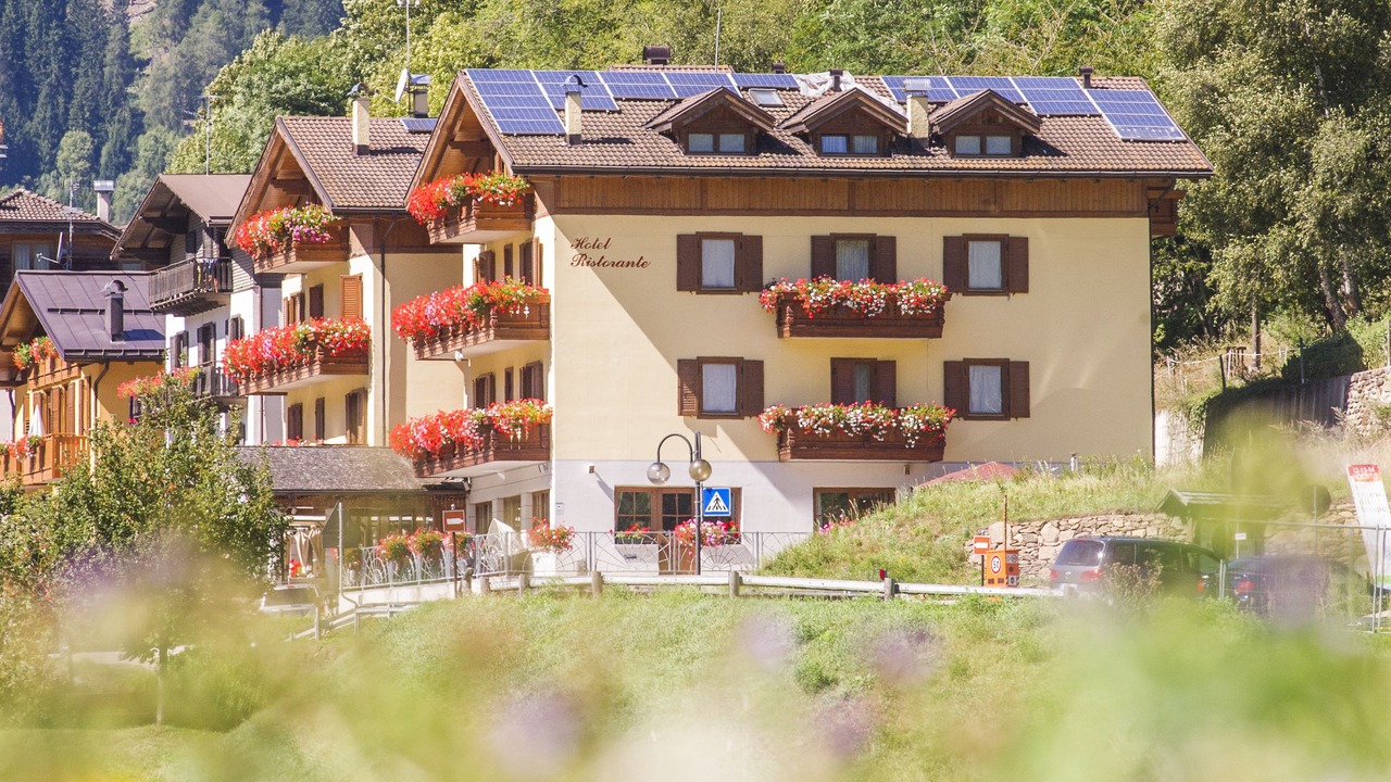 Photo of Outdoor in Pellizzano