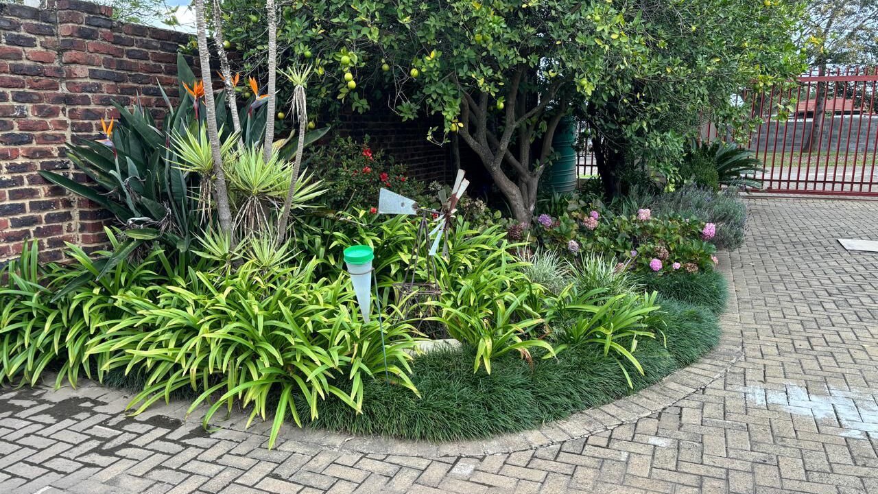 Photo of Outdoor in Piet Retief
