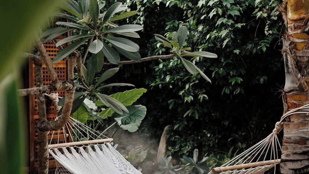 Photo of Outdoor in Da Nang
