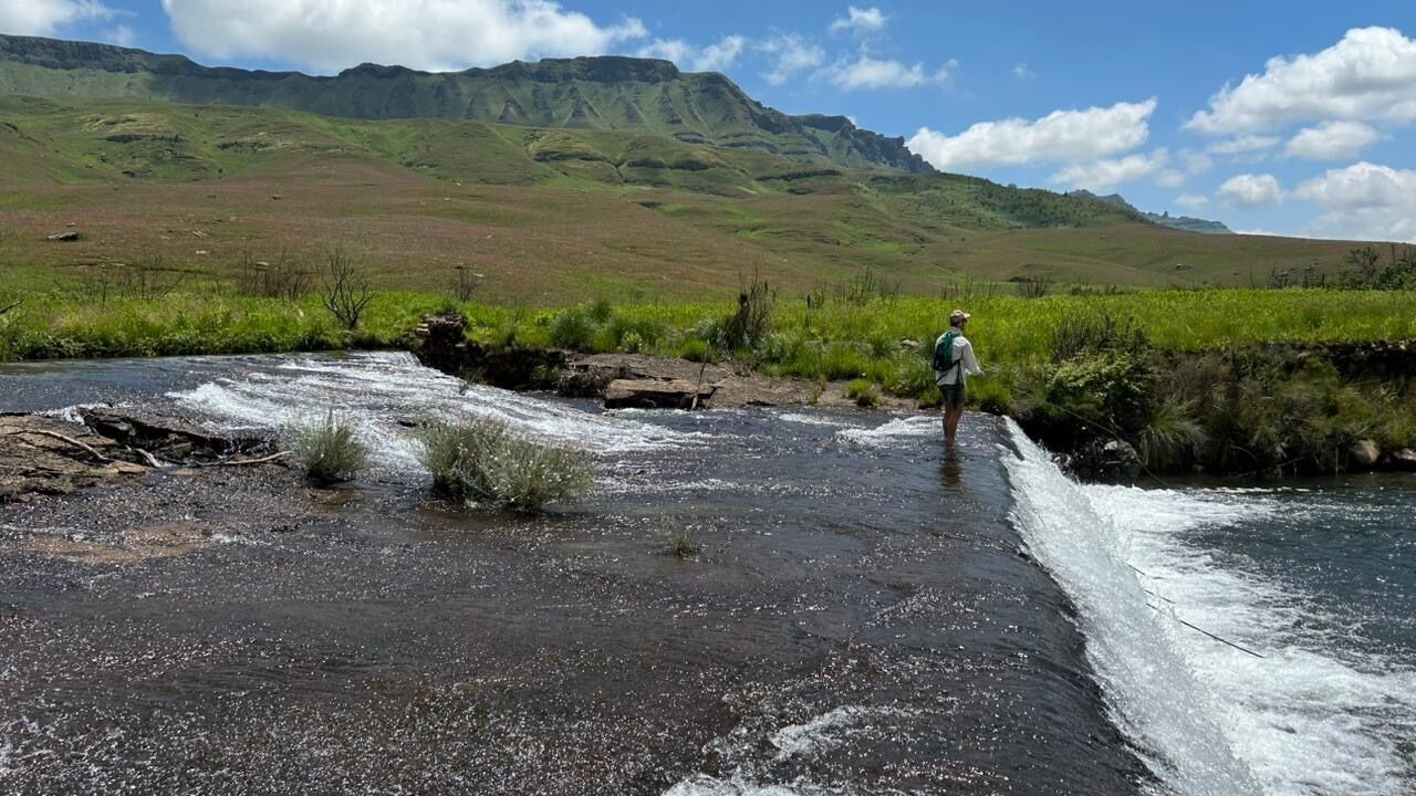 Photo of Others in Elandskop