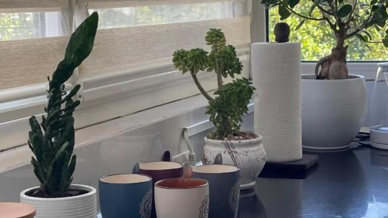 Photo of Others in Shkoder