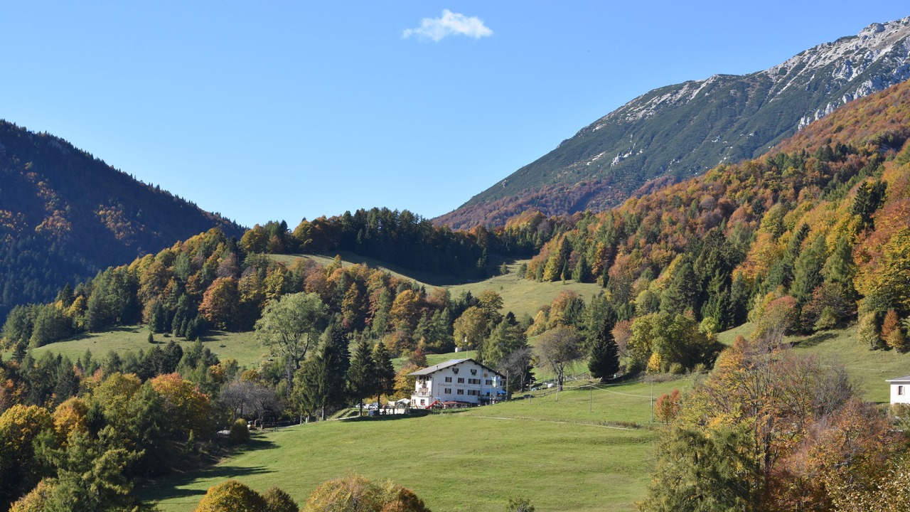 Photo of Outdoor in Avio