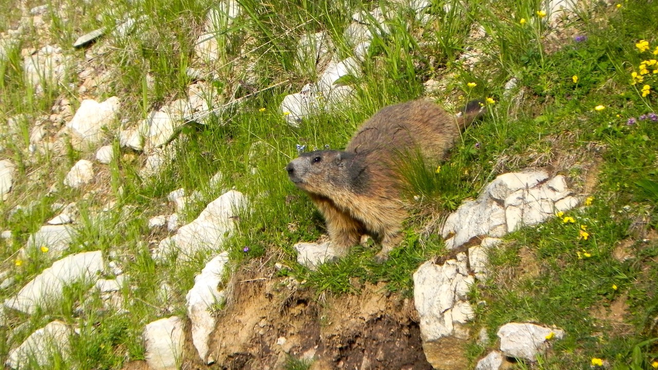 Photo of Outdoor in Avio