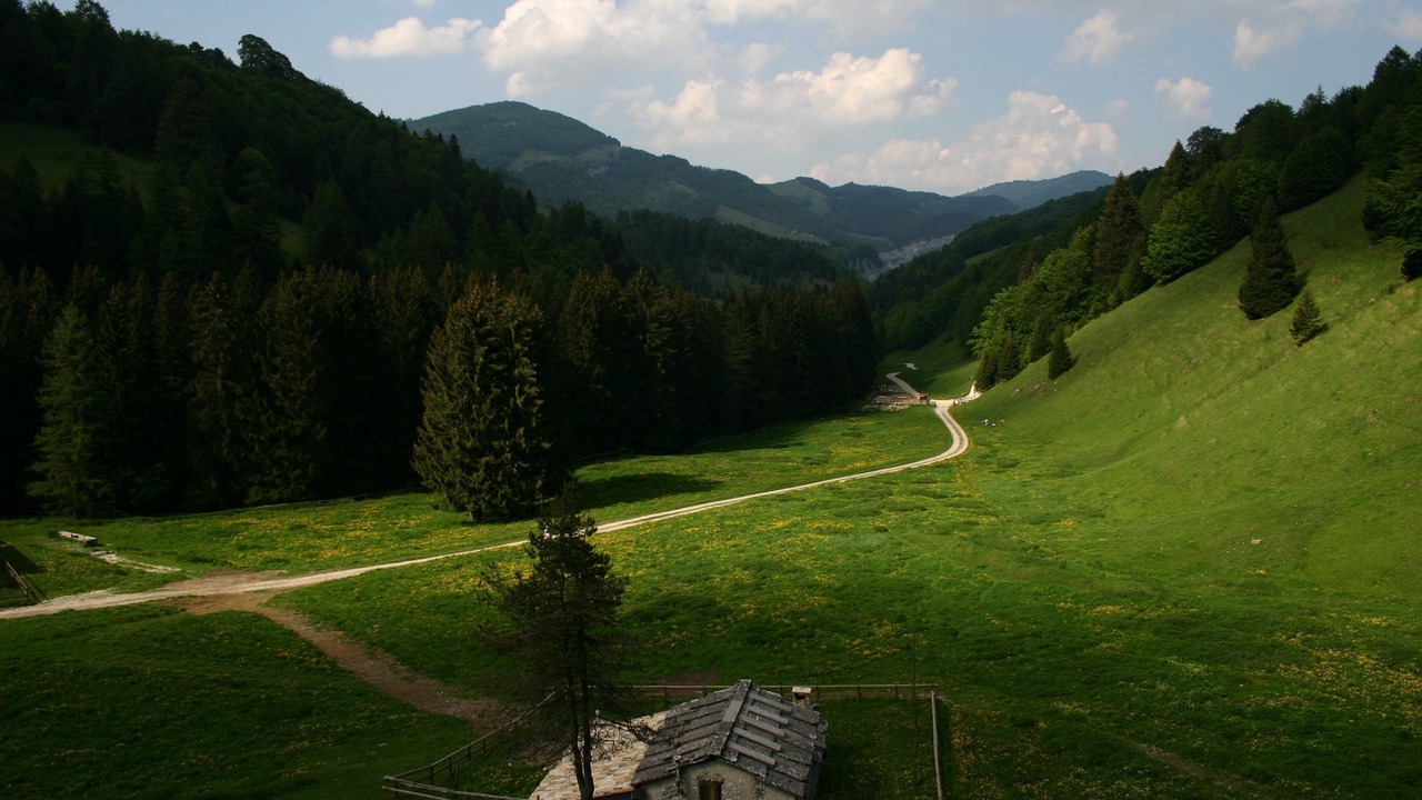 Photo of Outdoor in Avio