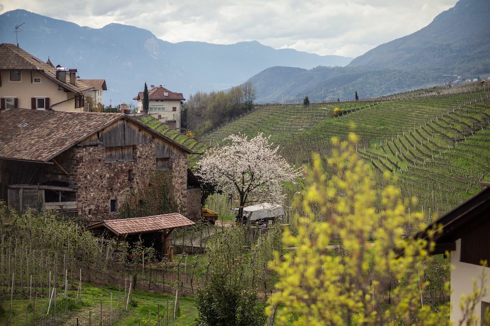Photo of Others in Pianizza Di Sopra