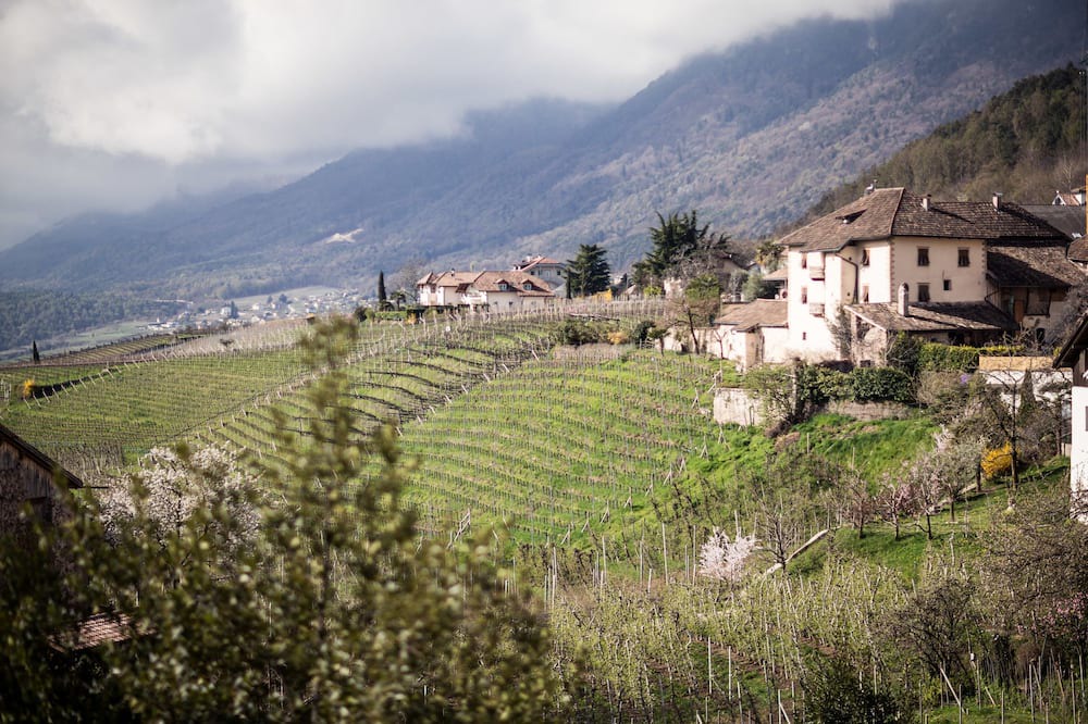 Photo of Others in Pianizza Di Sopra