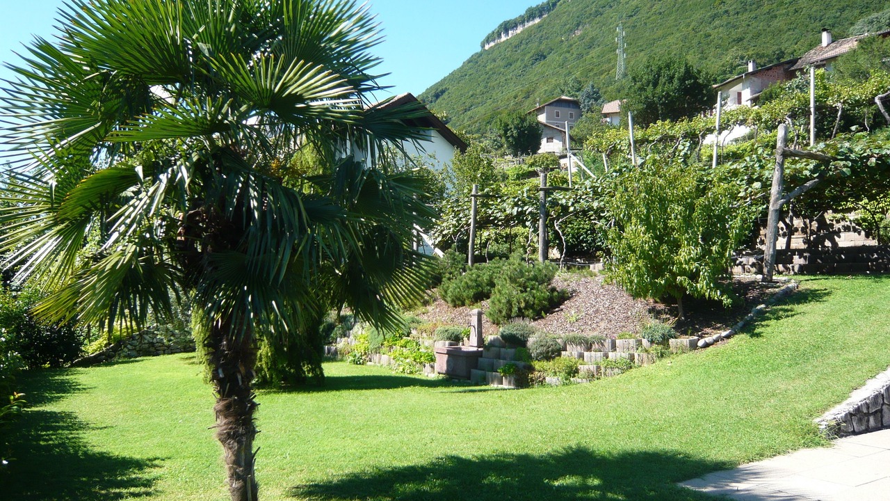 Photo of Others in Termeno Sulla Strada del Vino
