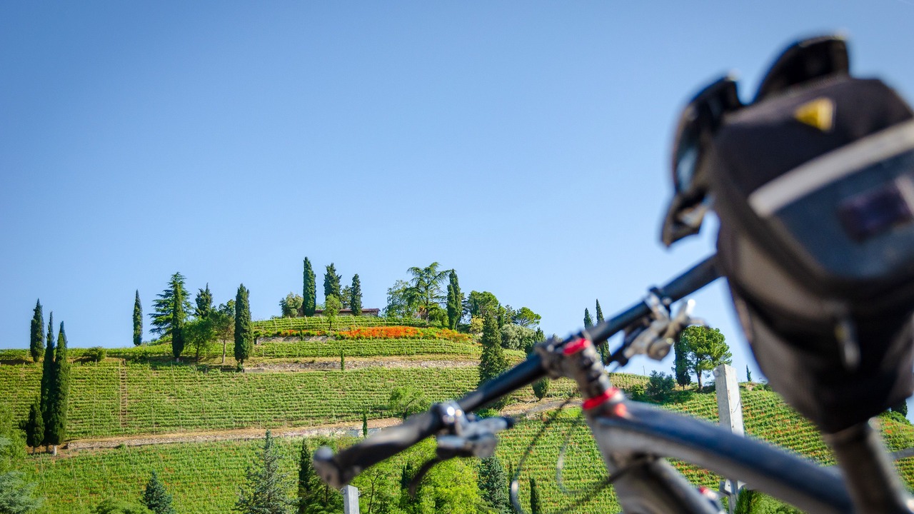 Photo of Outdoor in Termeno Sulla Strada del Vino