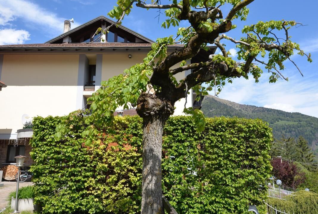 Photo of Outdoor in Temu
