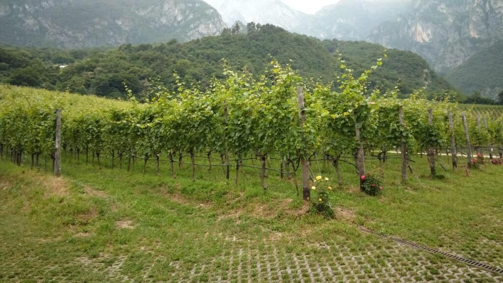 Photo of Outdoor in Ravina