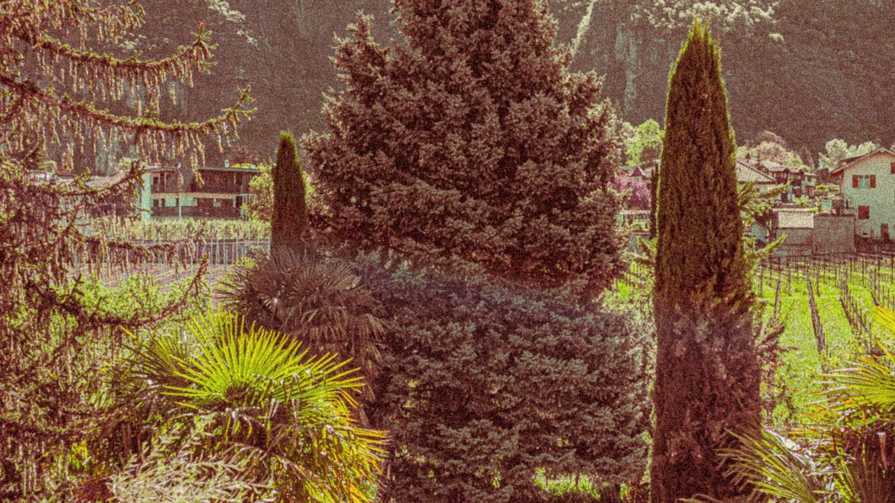 Photo of Outdoor in Auer