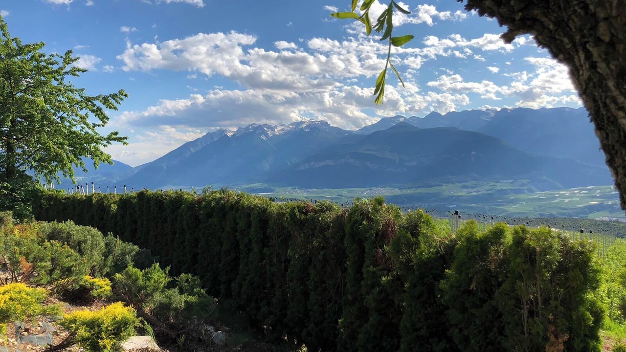 Photo of Outdoor in Predaia