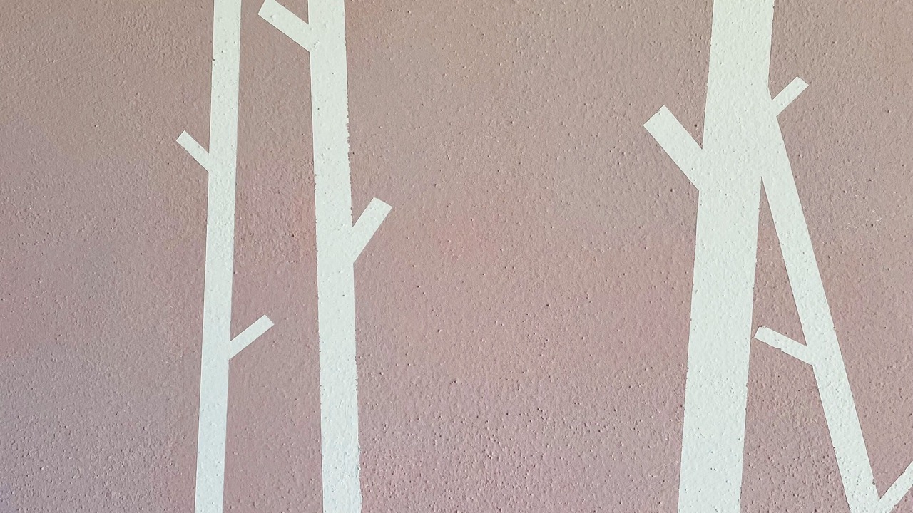 Photo of Bedroom in Predaia