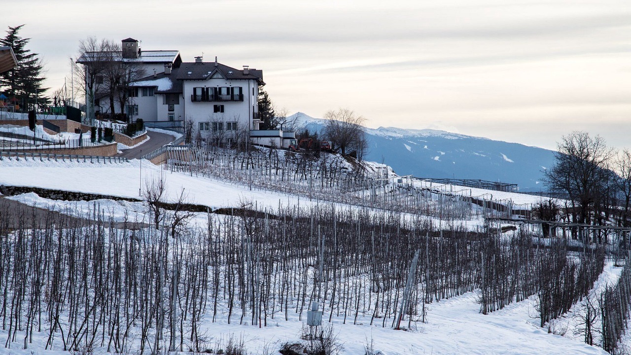 Photo of Outdoor in Predaia