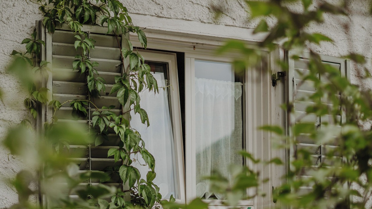 Photo of Outdoor in Nova Levante