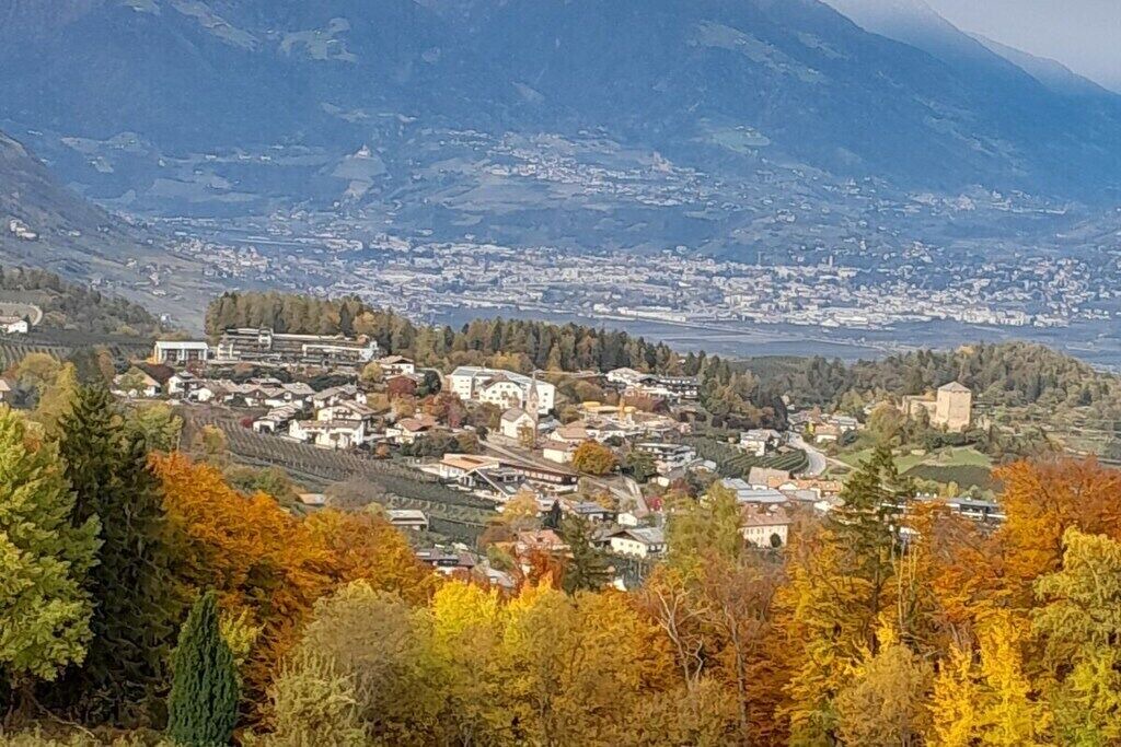 Photo of Others in Vollan