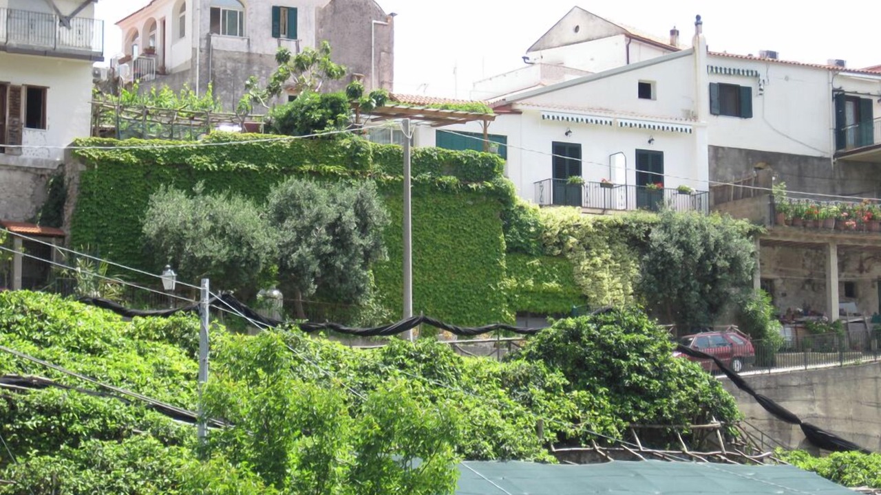 Photo of Outdoor in Pontone