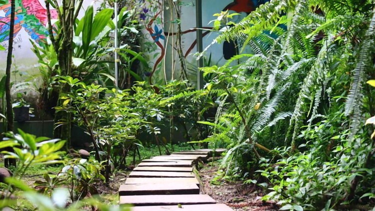 Photo of Outdoor in Aguas Calientes