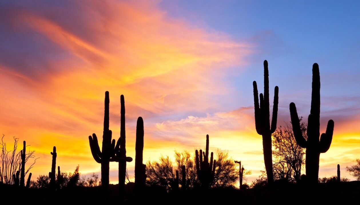 Photo of Others in Fountain Hills