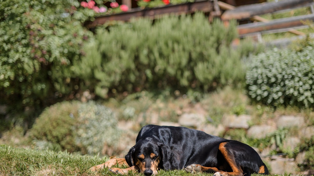 Photo of Outdoor in San Cipriano