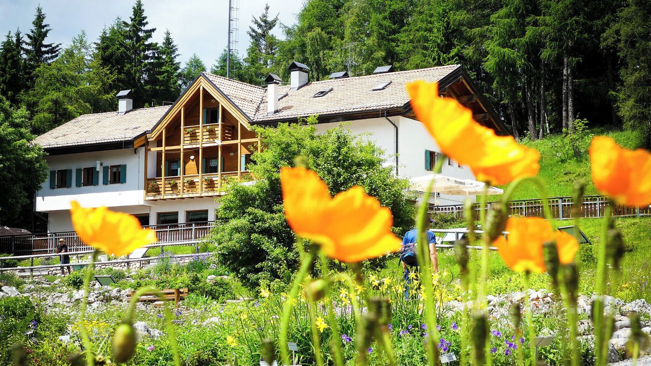 Photo of Outdoor in Ravina