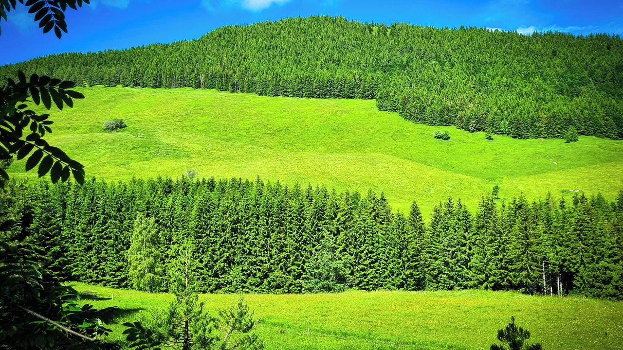 Photo of Outdoor in Ravina