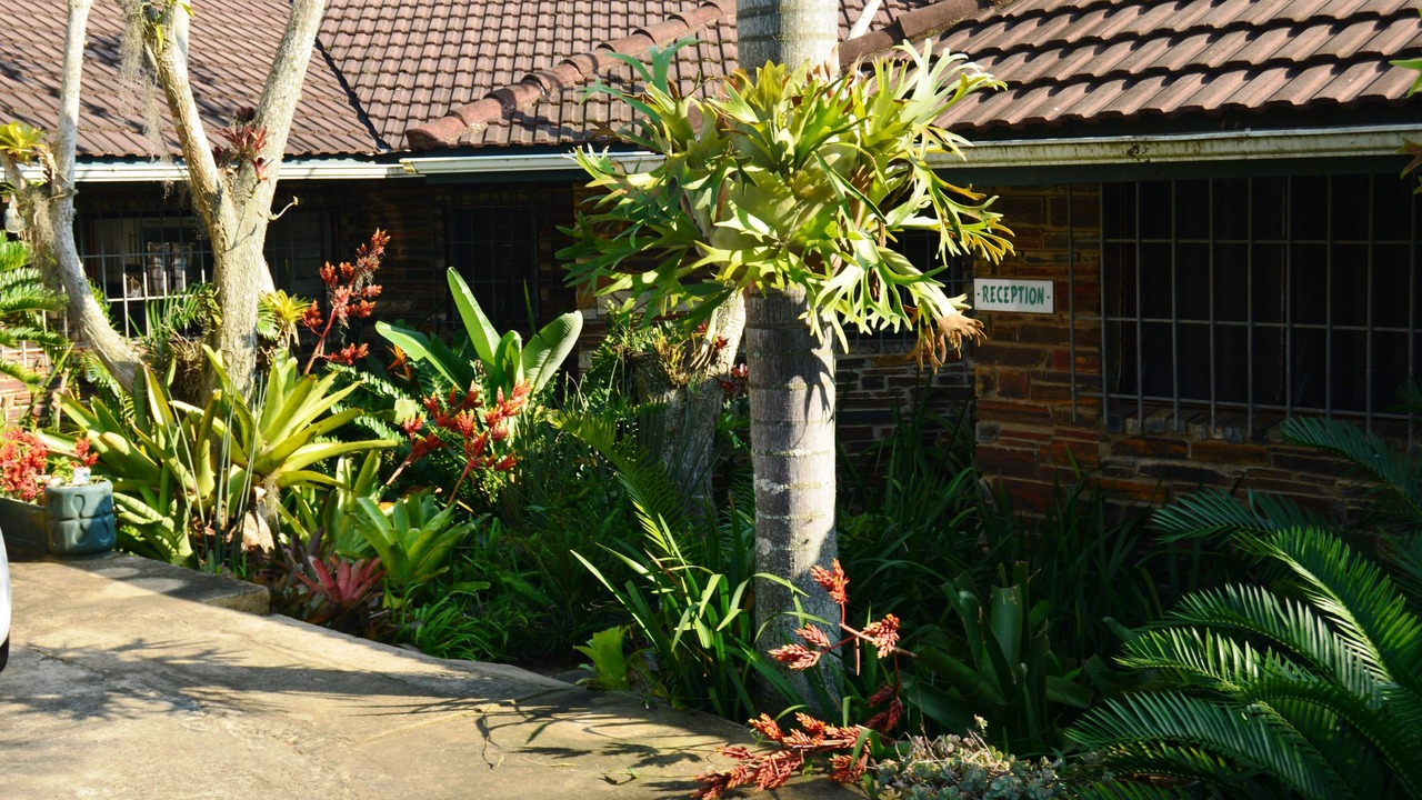 Photo of Outdoor in St. Lucia