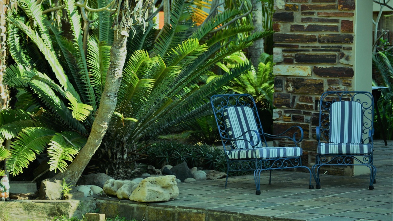 Photo of Outdoor in St. Lucia