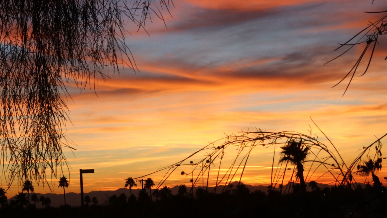 Photo of Others in East Mesa