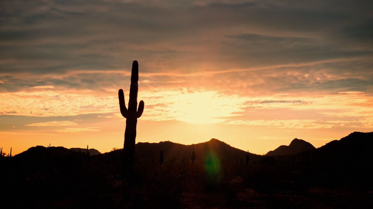 Photo of Others in East Mesa