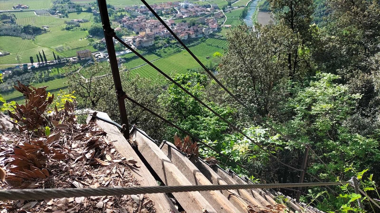 Photo of Outdoor in Ceniga
