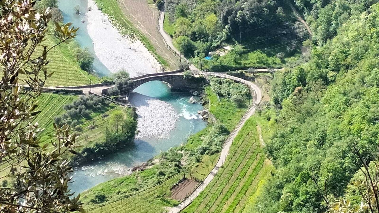 Photo of Others in Ceniga