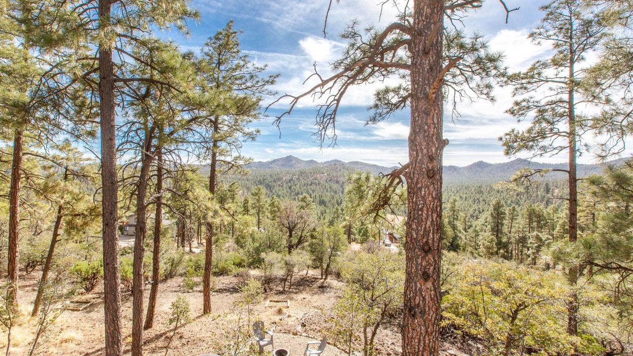 Photo of Outdoor in Highland Pines