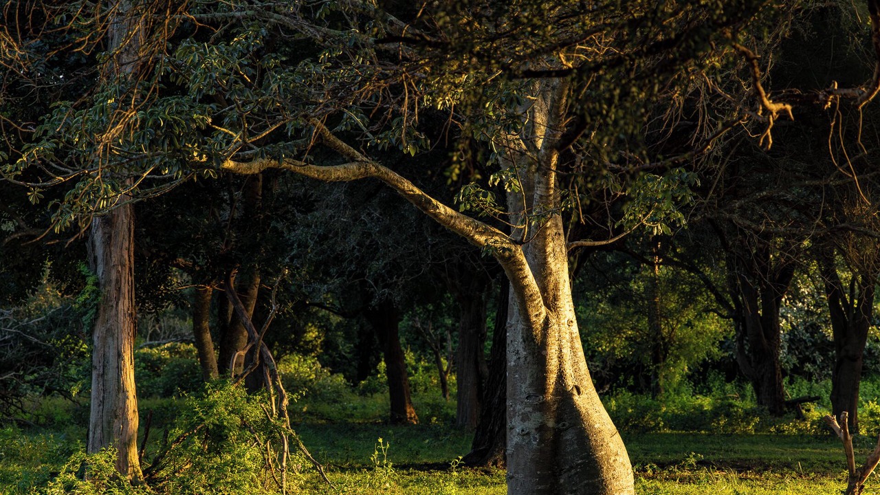 Photo of Outdoor in Hluhluwe